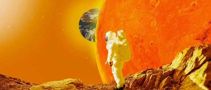 Unpacking Proxima b Discoveries